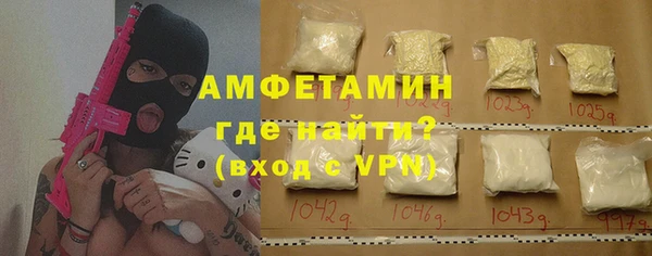 ГАЛЛЮЦИНОГЕННЫЕ ГРИБЫ Гусь-Хрустальный