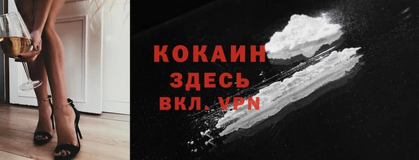 сатива Дмитриев