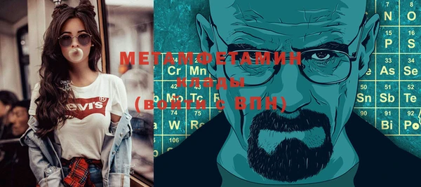 сатива Дмитриев