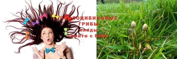 сатива Дмитриев