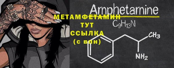 ГАЛЛЮЦИНОГЕННЫЕ ГРИБЫ Гусь-Хрустальный