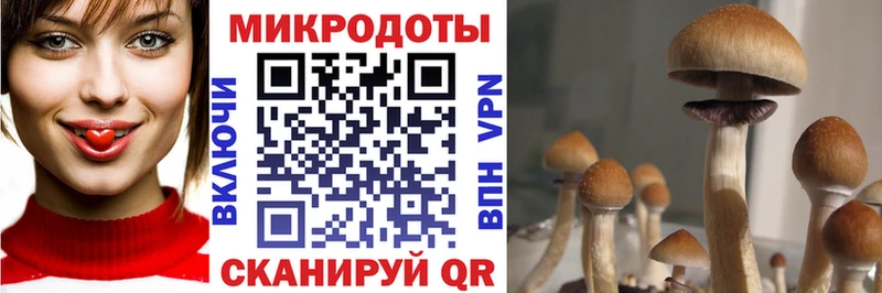 Псилоцибиновые грибы GOLDEN TEACHER  Окуловка 